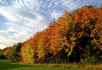 Stacks Image 2253