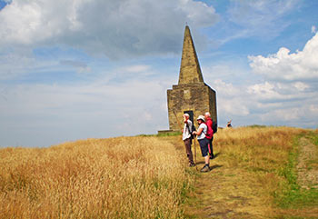 Stacks Image 2265